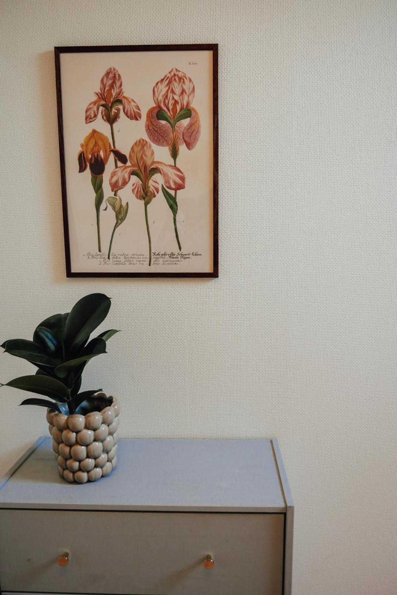 Aespoegarden Bed & Breakfast Klagstorp Exterior foto